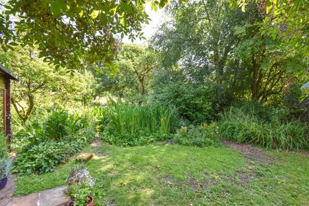 1 Stepping Stones Garden B.jpg