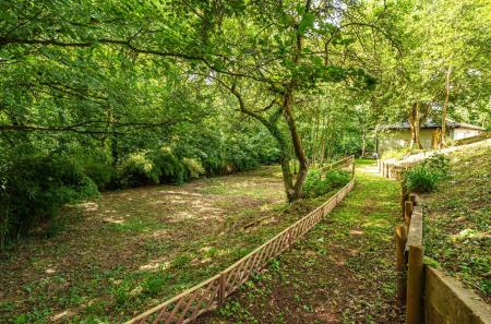 Garden Woodland