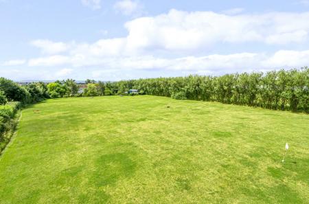 Field