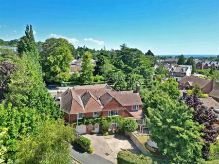 Elevated View