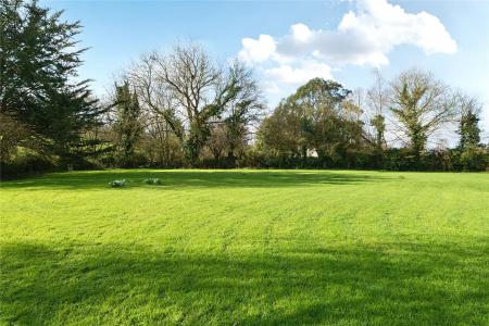 Grounds