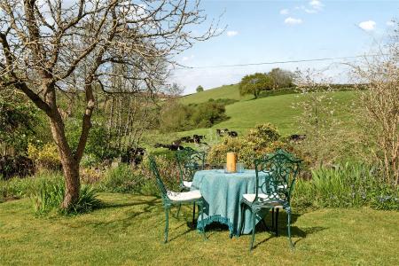 Garden Views