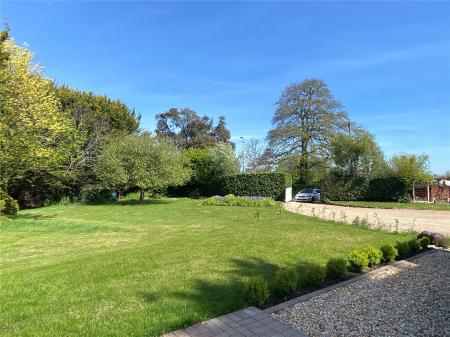Garden and Driveway