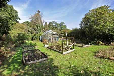 Vegetable Garden