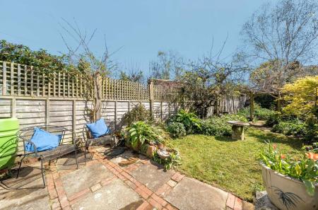 Back Garden