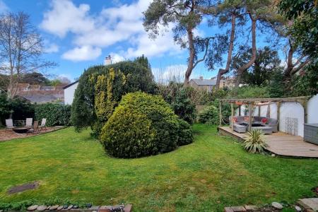 Back Garden
