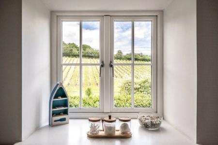 View Over Vineyard
