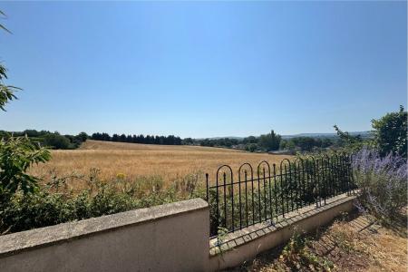 View From Garden