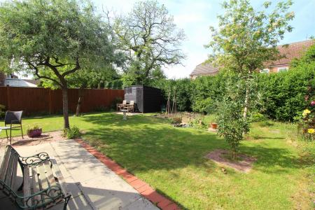 garden 2.JPG