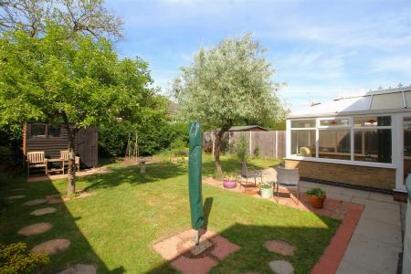 garden 3.JPG