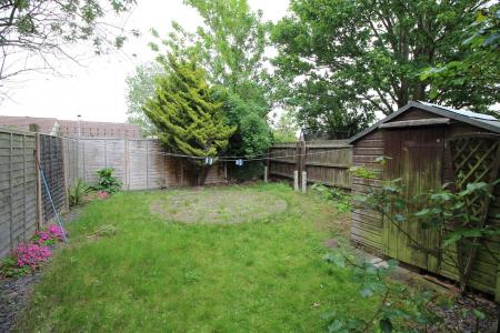 garden 3.JPG