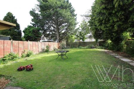 garden 2 .JPG