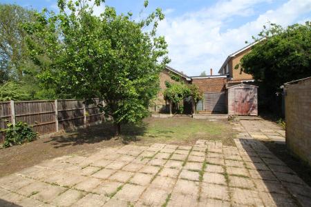 garden image .JPG