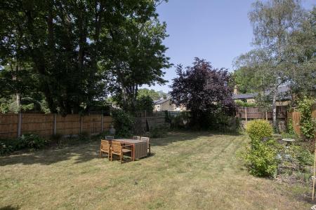 3Y6A8580.jpg