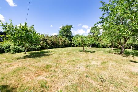 Gardens