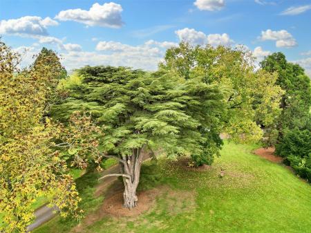 Grounds