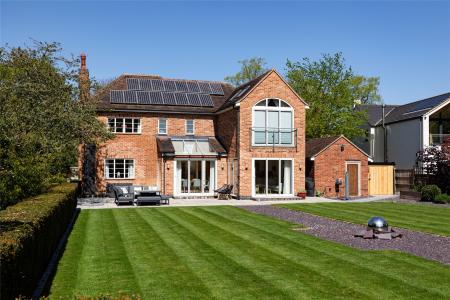 Rear Elevation
