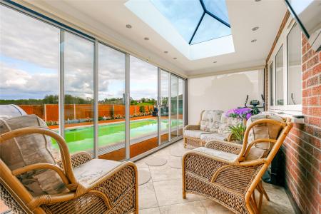 Sun Lounge