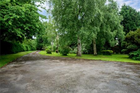 Driveway
