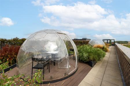Igloo
