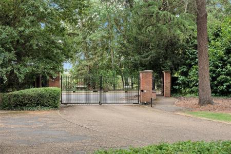 Grounds