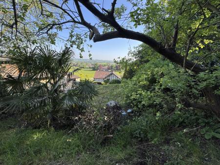 View from Upper Path