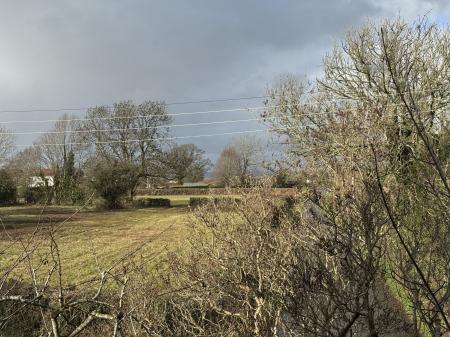 View from Bedroom