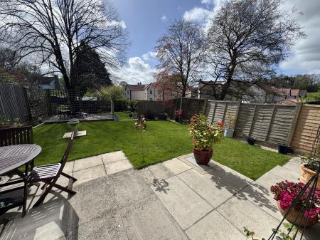 Looking Down Garden