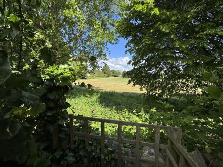 VIEW FROM GARDEN