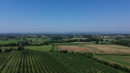 VIEW - DRONE