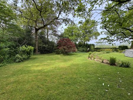 GARDEN FROM SHED