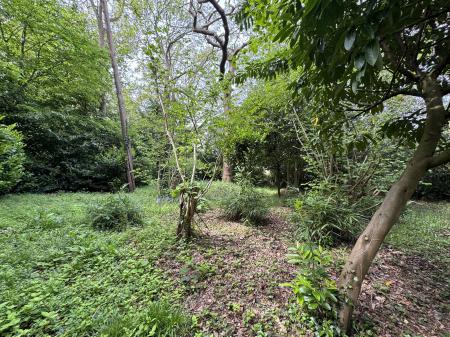 WOODLAND