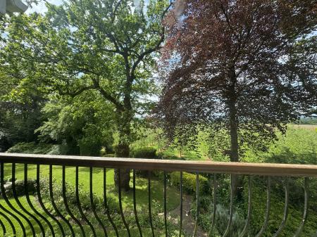 VIEW FROM STUDY
