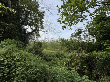 VIEW FROM CORNER OF KITCHEN GARDEN