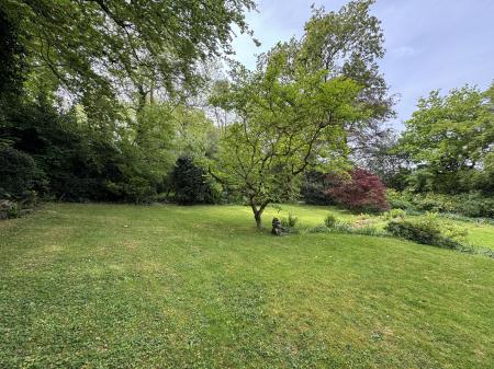 GARDEN FROM SIDE