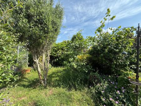 Rear Garden Area.JPG