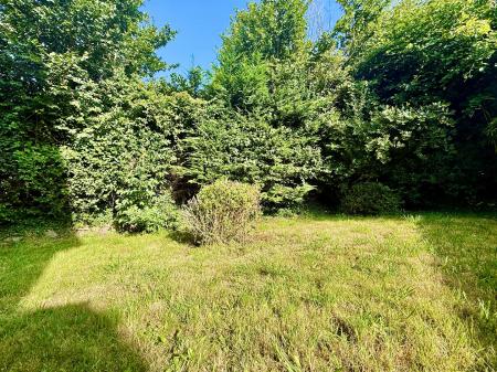 Rear Garden.JPG