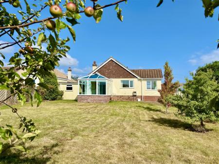 Rear From Base Of Garden.JPG