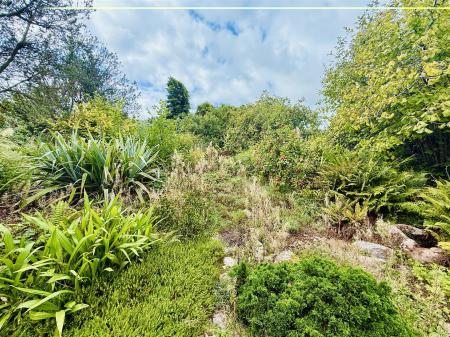 Lower Garden.JPG