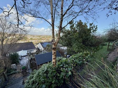 Looking From Mid garden Down.JPG