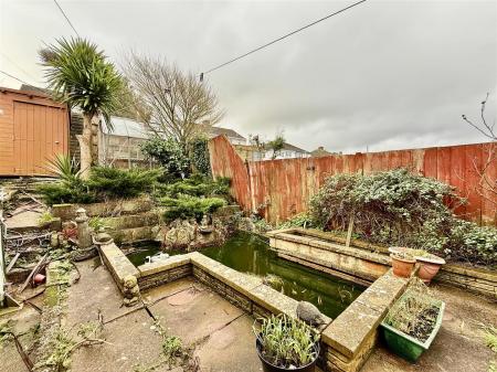 Pond Area.jpg
