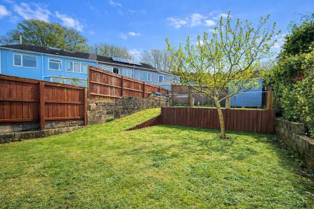 Garden From Path.png