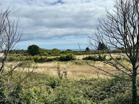 View From Front.jpeg