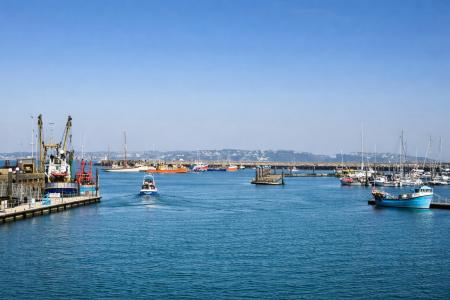 View From Terrace.png