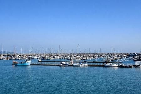 Marina From Terrace.png