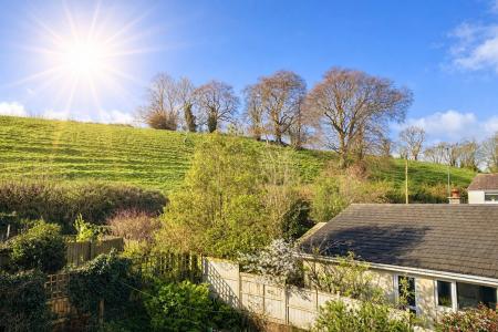 View From Living Room.png