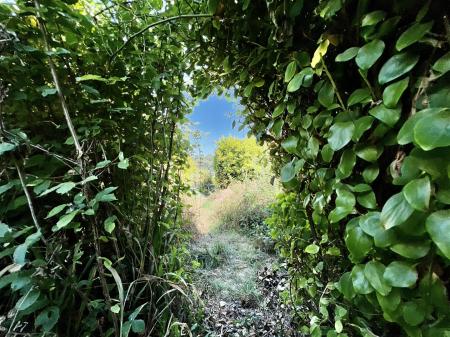 16 Milton Park - 24.jpeg