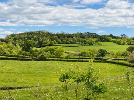 Views Across Adjacent Fields (2).png