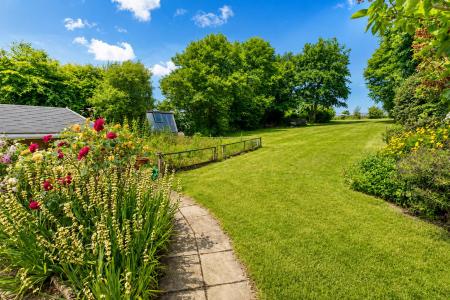 Lawn Towards Veg Patch.png