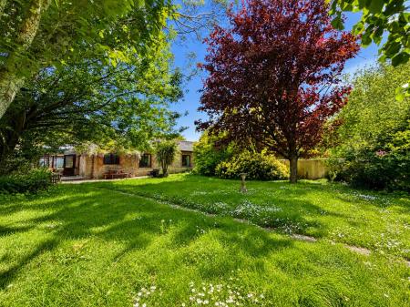 Rear Garden.png